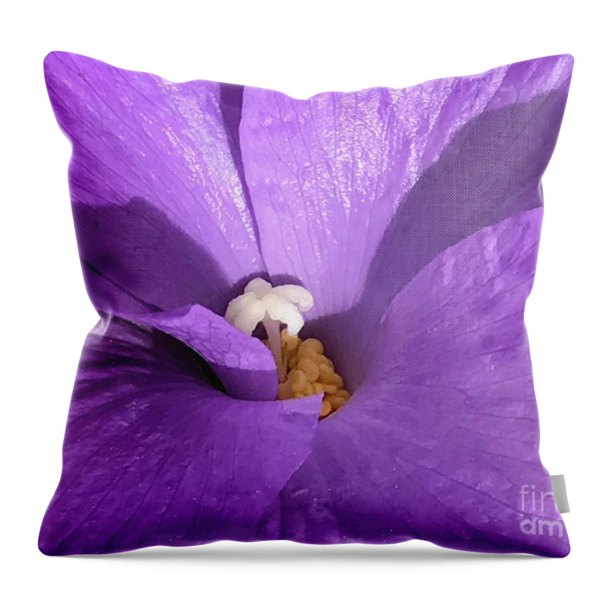 Peace Throw Pillow featuring the photograph Come Together by Tiesa Wesen