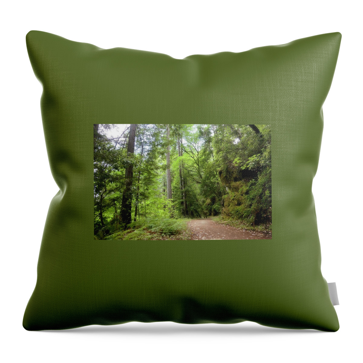 Concrete Pipe Fireroad Throw Pillow featuring the photograph Concrete Pipe Fireroad by John Parulis
