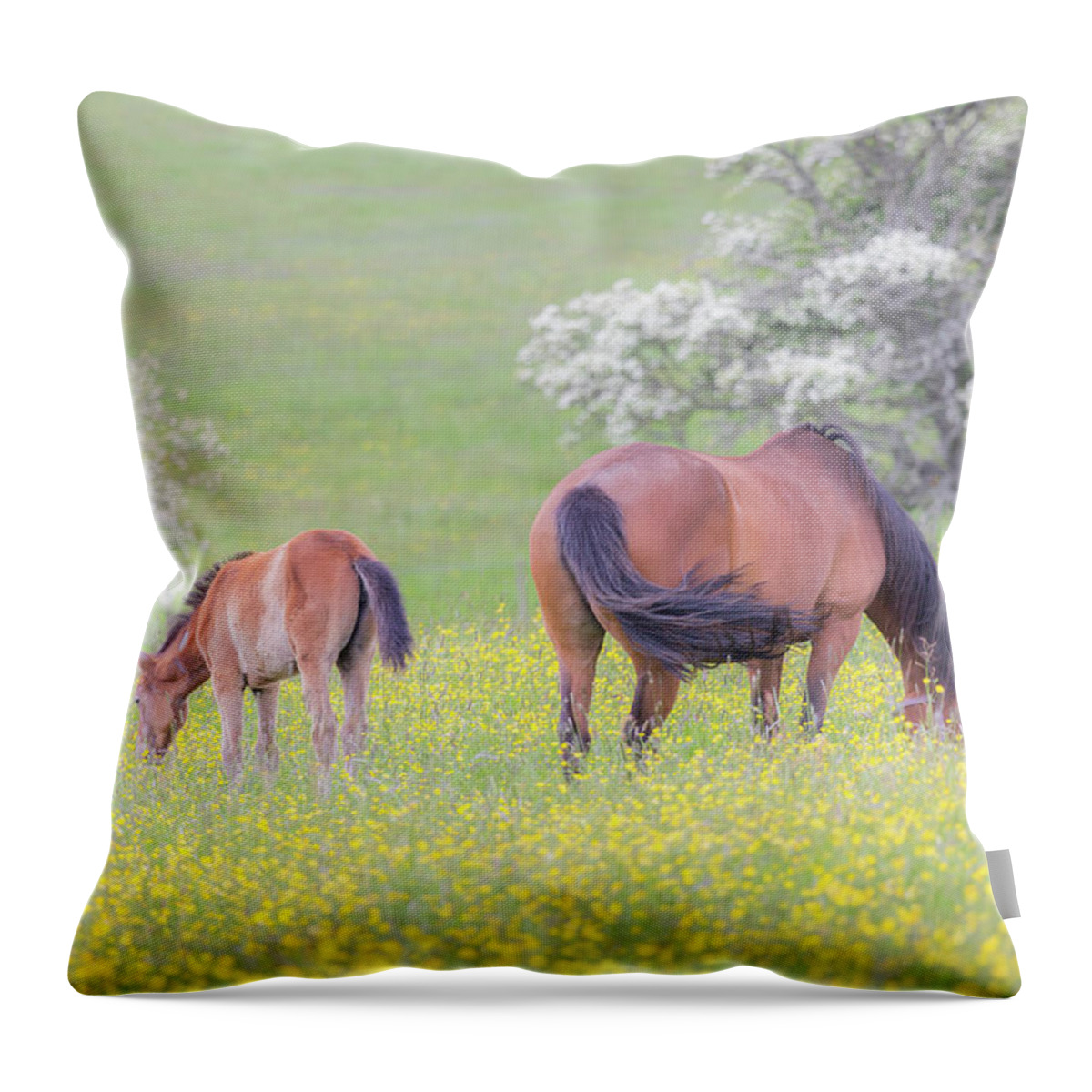 Horses Throw Pillow featuring the photograph Contentment - Mare and Foal in a meadow by Anita Nicholson