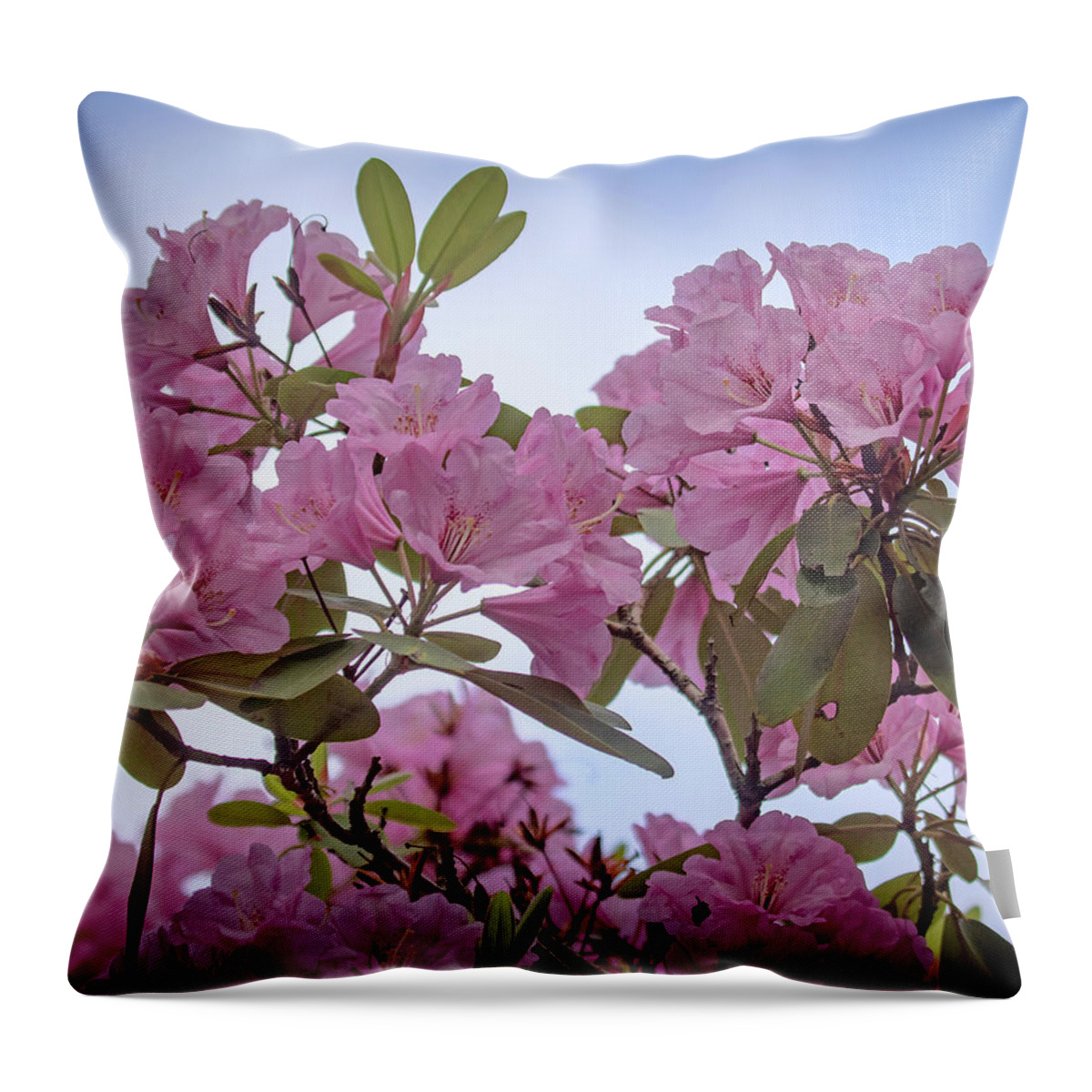 Rhododendron Throw Pillow featuring the photograph Cornell Botanic Gardens #6 by Mindy Musick King