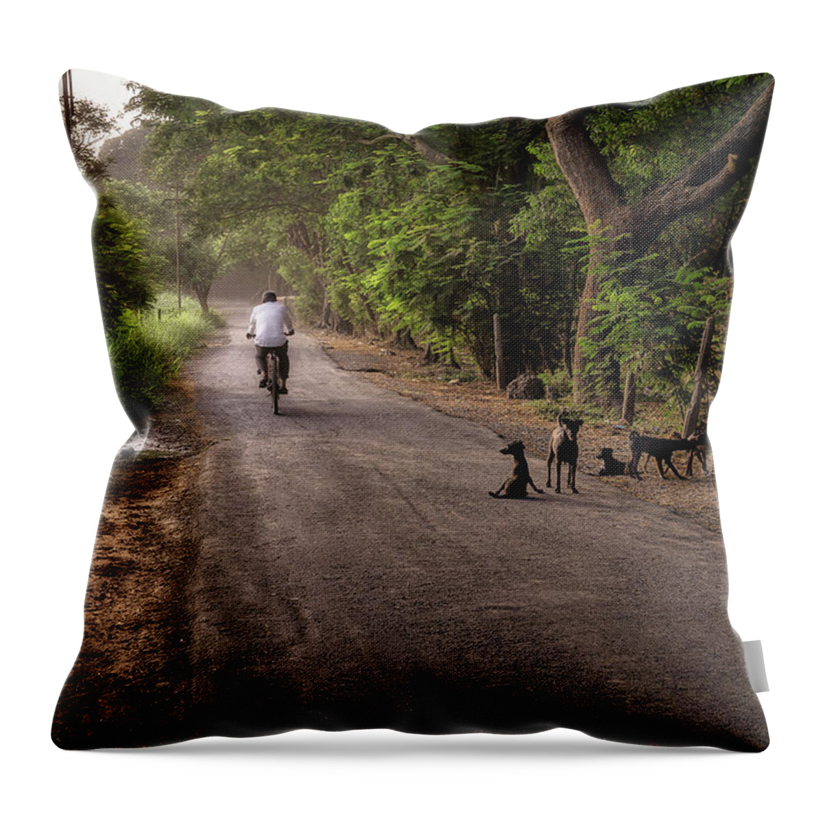 Photography Throw Pillow featuring the photograph Country Road by Craig Boehman