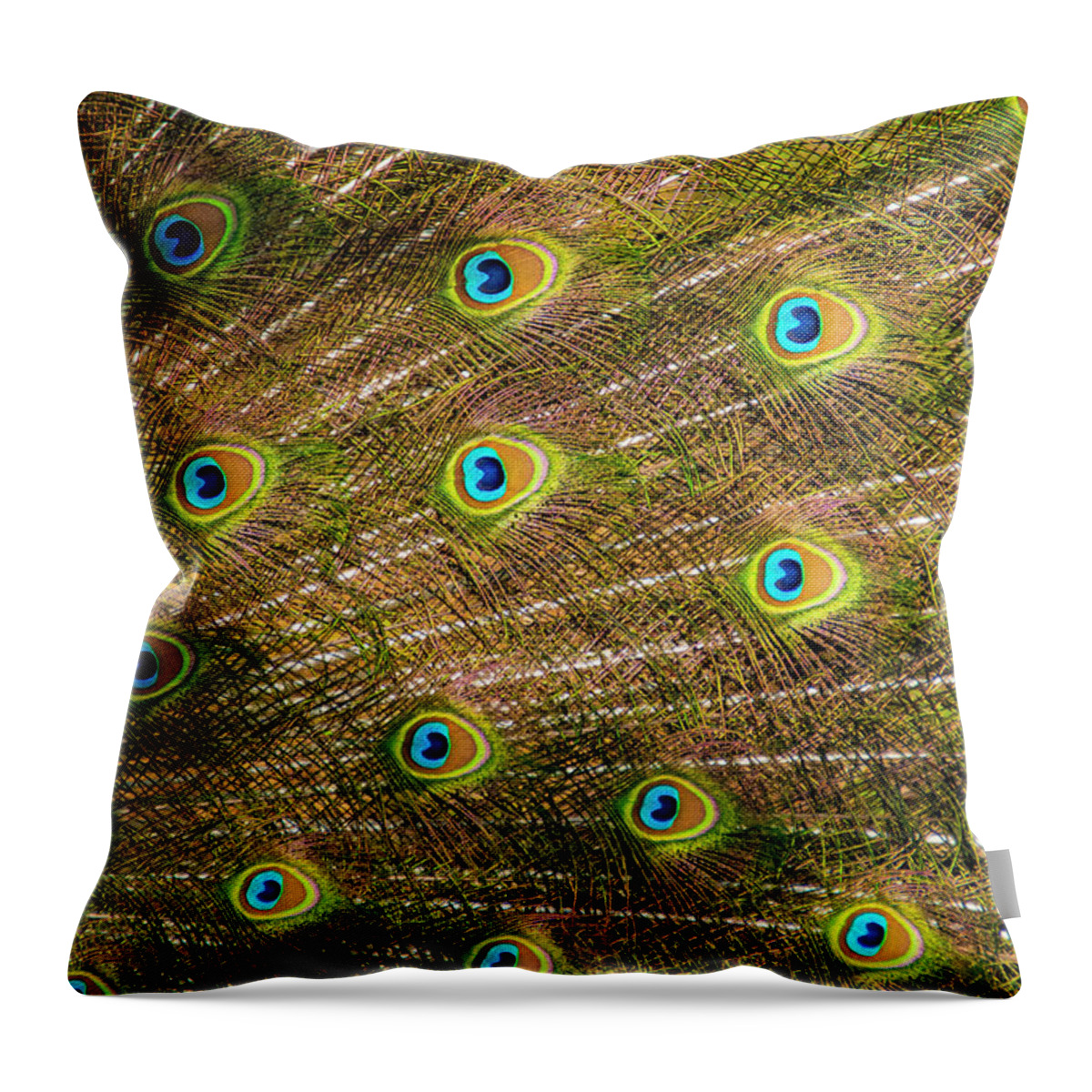 Greensboro Science Center Throw Pillow featuring the photograph Courting by Melissa Southern