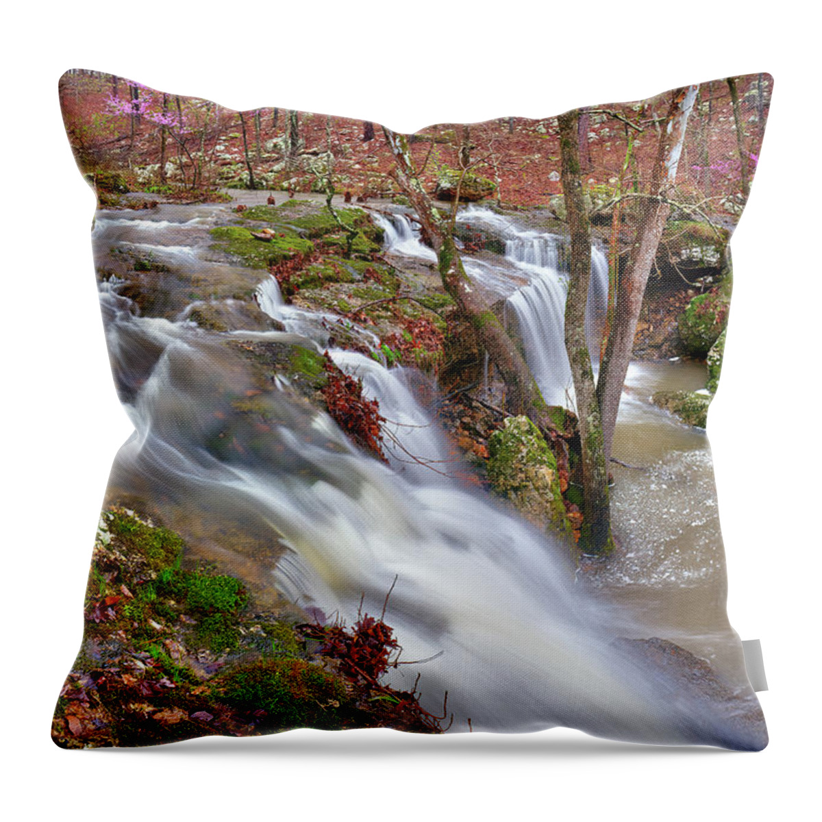 Waterfall Throw Pillow featuring the photograph Coward's Hollow Shut-ins I by Robert Charity
