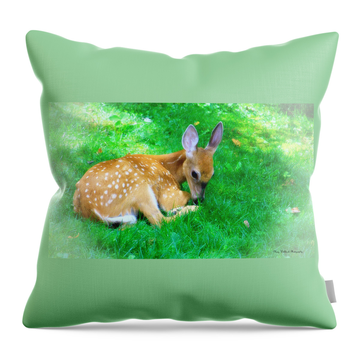 Nature Wildlife Fawn Throw Pillow featuring the photograph Cozy Fawn by Mary Walchuck