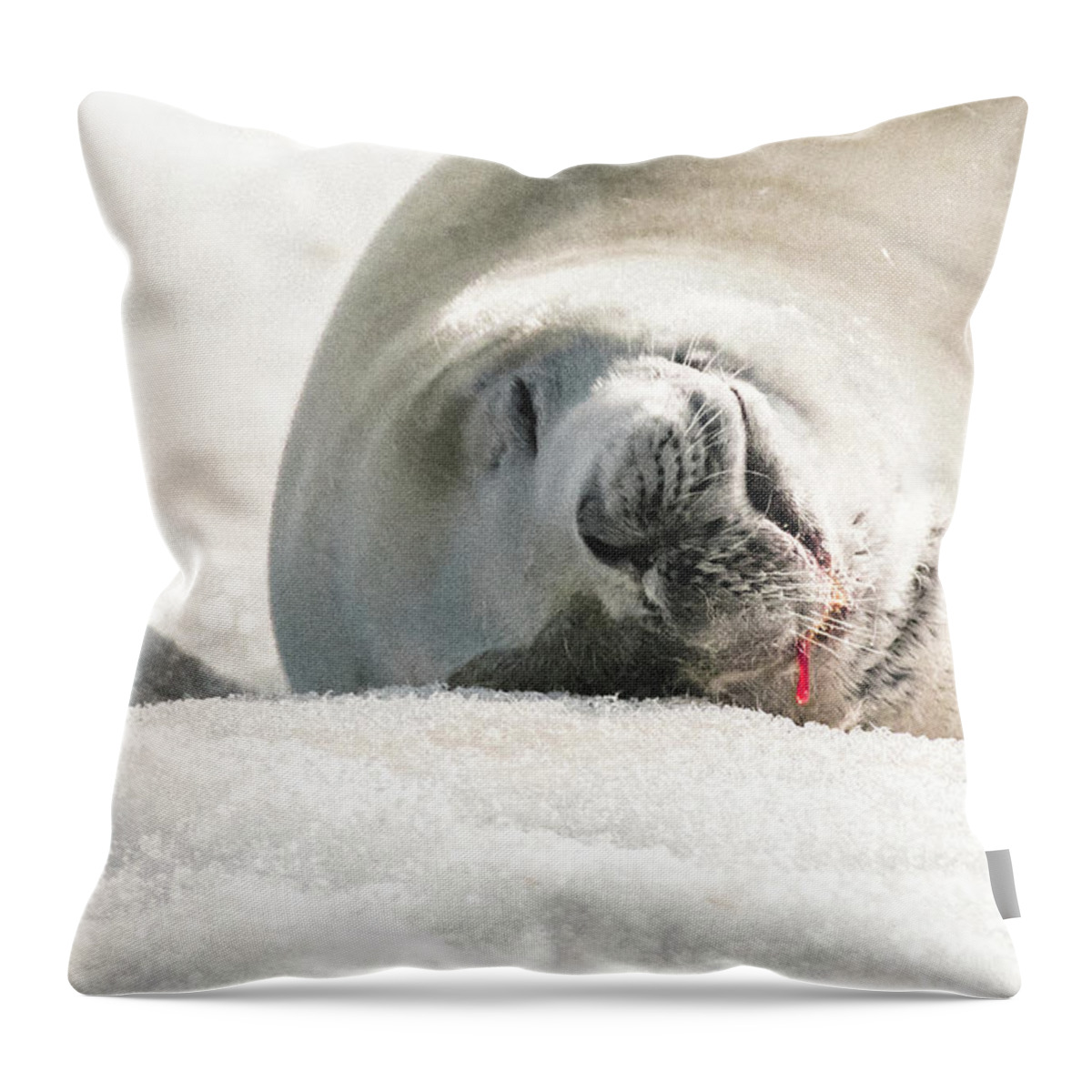 04feb20 Throw Pillow featuring the photograph Crabeater Seal Frozen Drool Pile Macro by Jeff at JSJ Photography