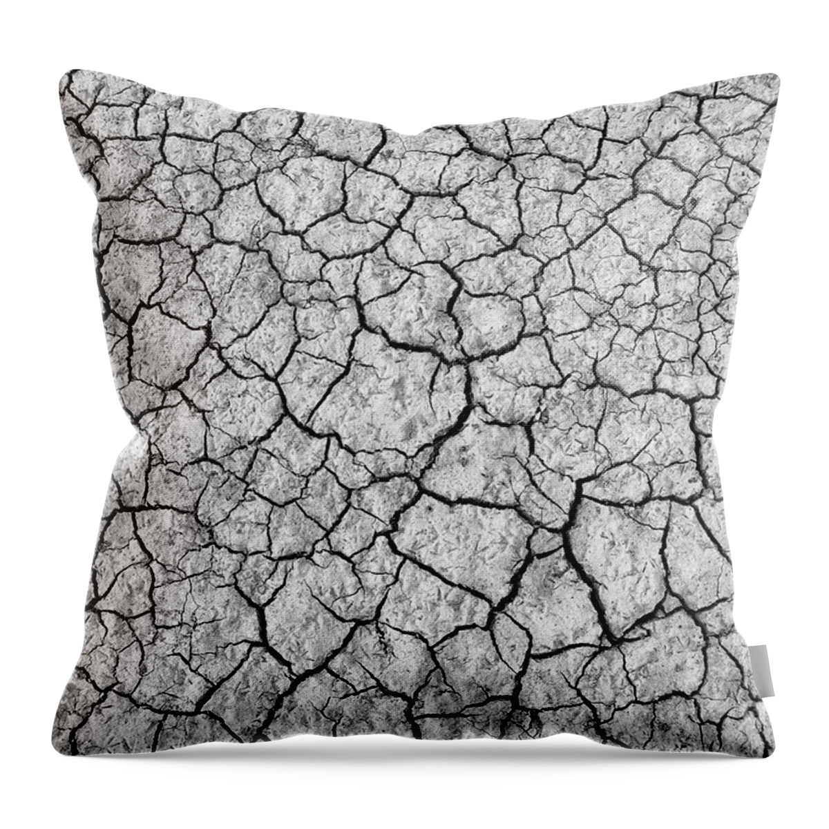 Cracked Earth Pattern Canvas Print / Canvas Art by Tim Gainey