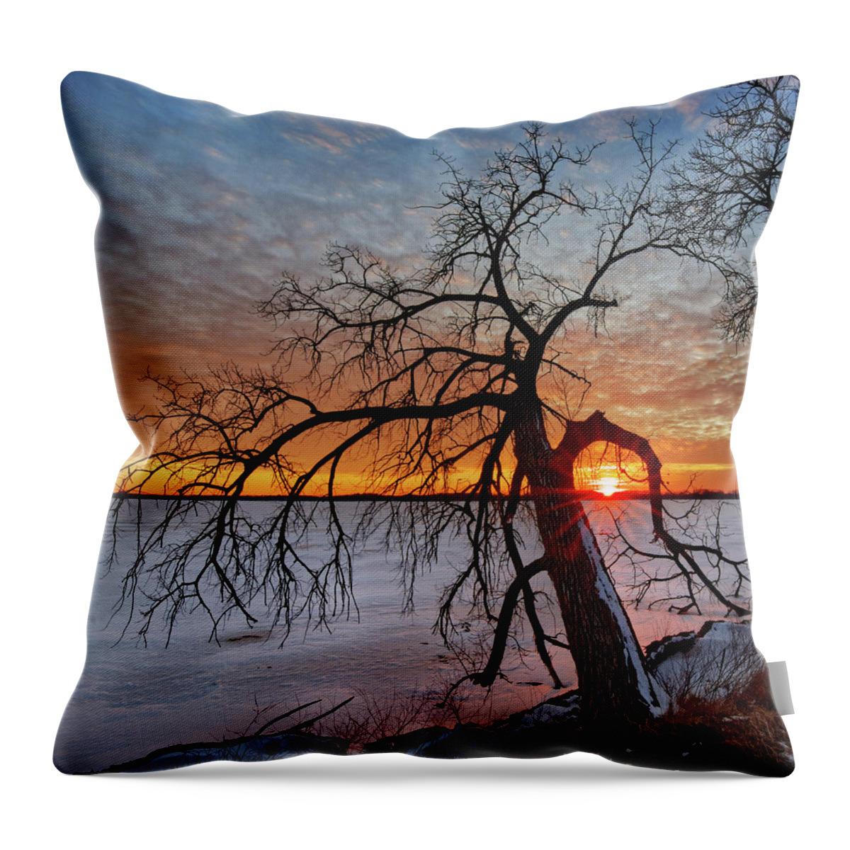 Waubesa Throw Pillow featuring the photograph Cradled - sunset framed by cottonwood tree on Lower Yahara River trail at Lake Waubesa by Peter Herman