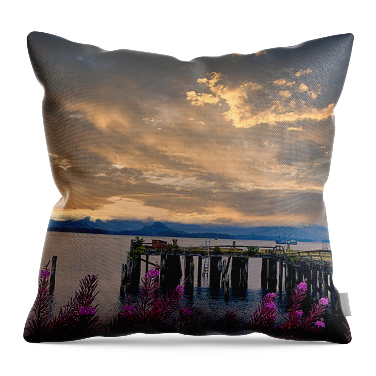 Alaska Throw Pillow featuring the photograph Craig Cannery Sunset by Bradley Morris