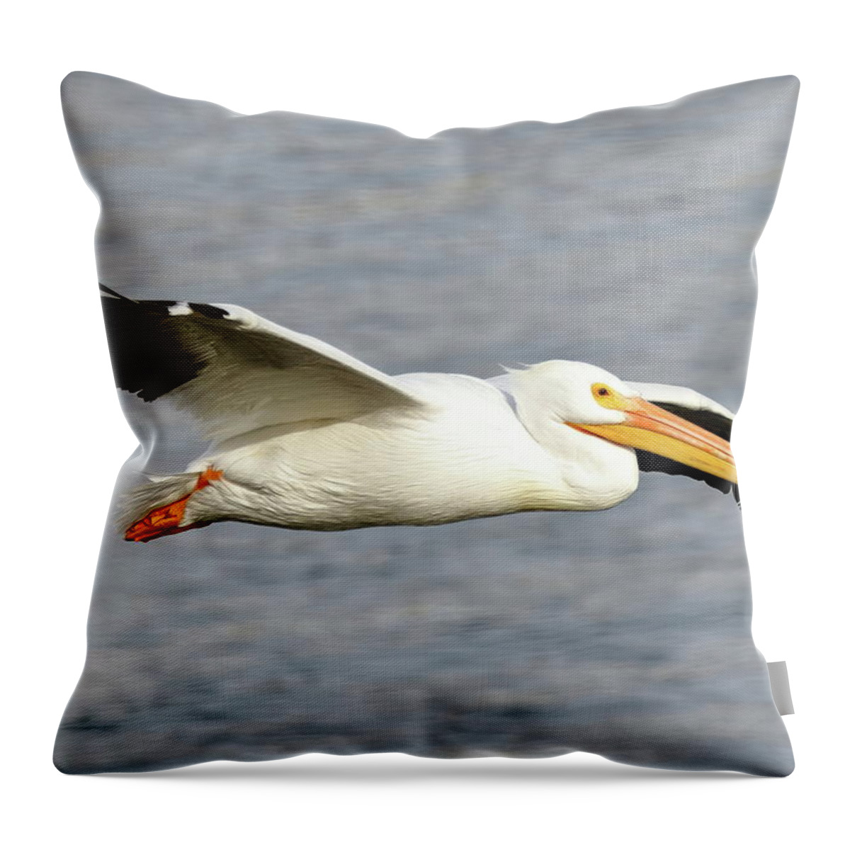Pelicans Throw Pillow featuring the photograph Cruising Along by Lens Art Photography By Larry Trager