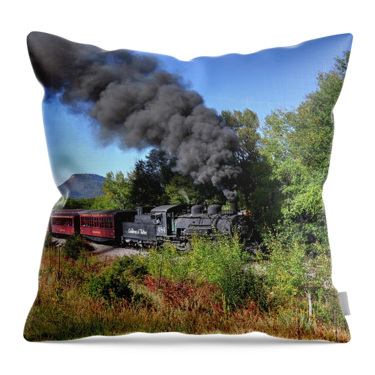 Fine Art Throw Pillow featuring the photograph Cumbres Toltec Railroad II by Robert Harris
