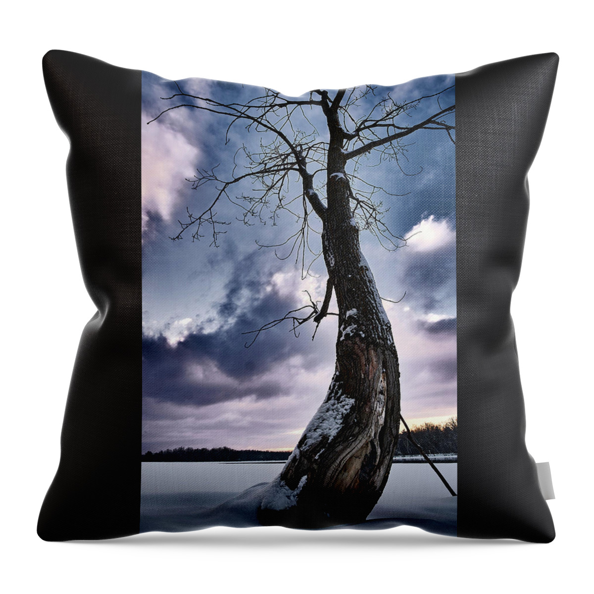 Tree Throw Pillow featuring the photograph The Solo Curb Tree On The River by Carl Marceau