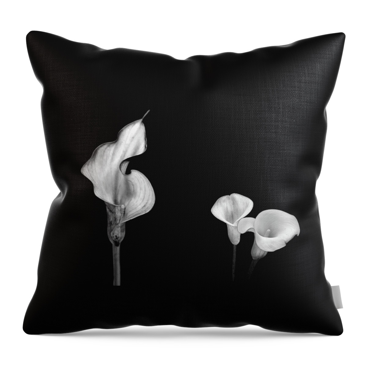 Beautiful Black And White Flower Throw Pillow featuring the photograph Curiosity by Az Jackson