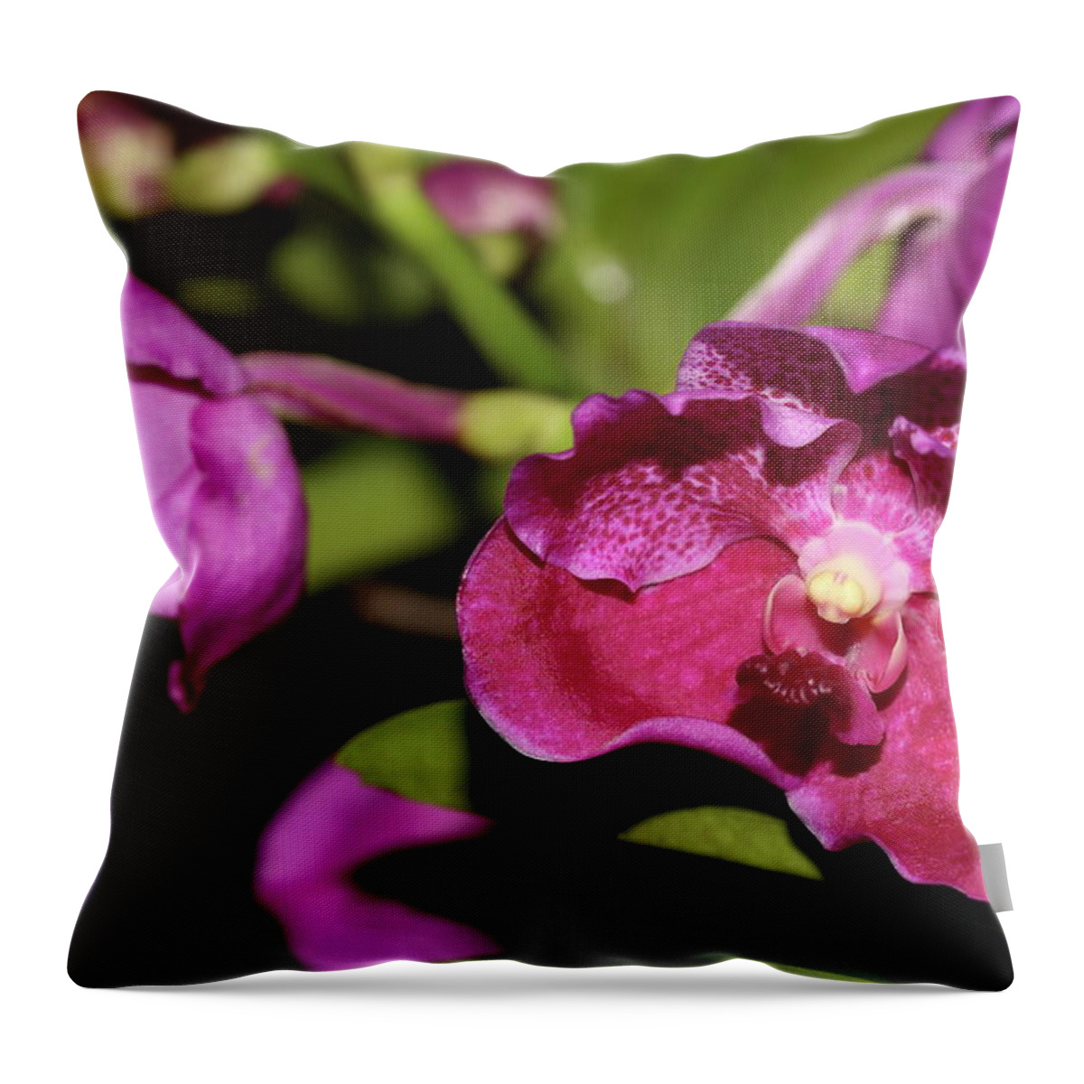 Orchid Throw Pillow featuring the photograph Curled Orchids by Mingming Jiang