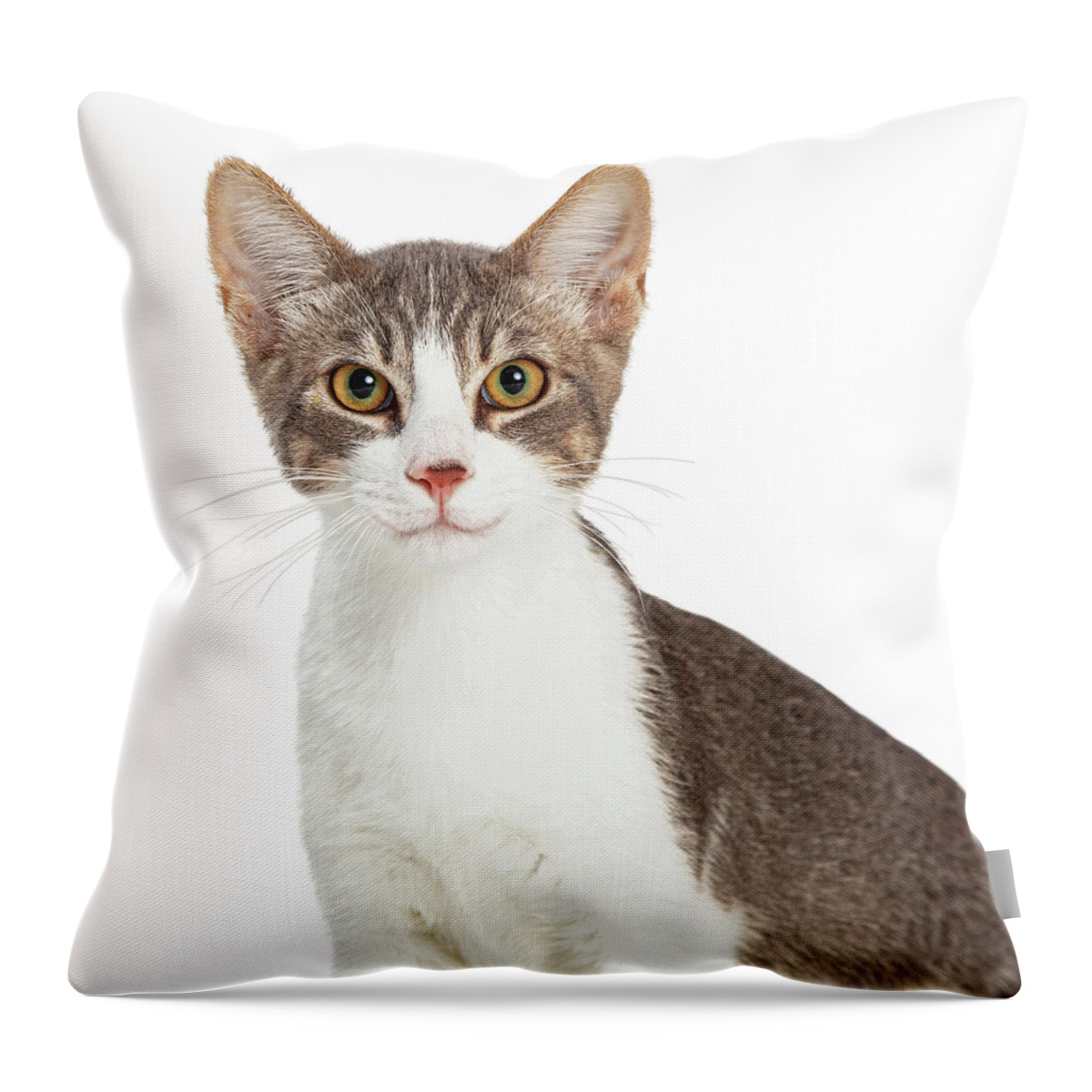 Cat Throw Pillow featuring the photograph Cute Smiling Young Cat Closeup by Good Focused