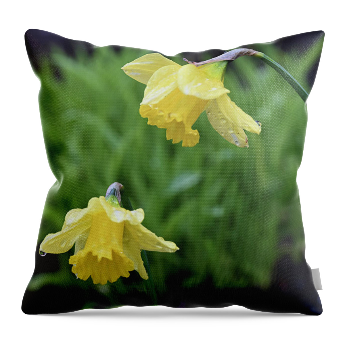 Daffodils Throw Pillow featuring the photograph Daffodils by Jerry Cahill
