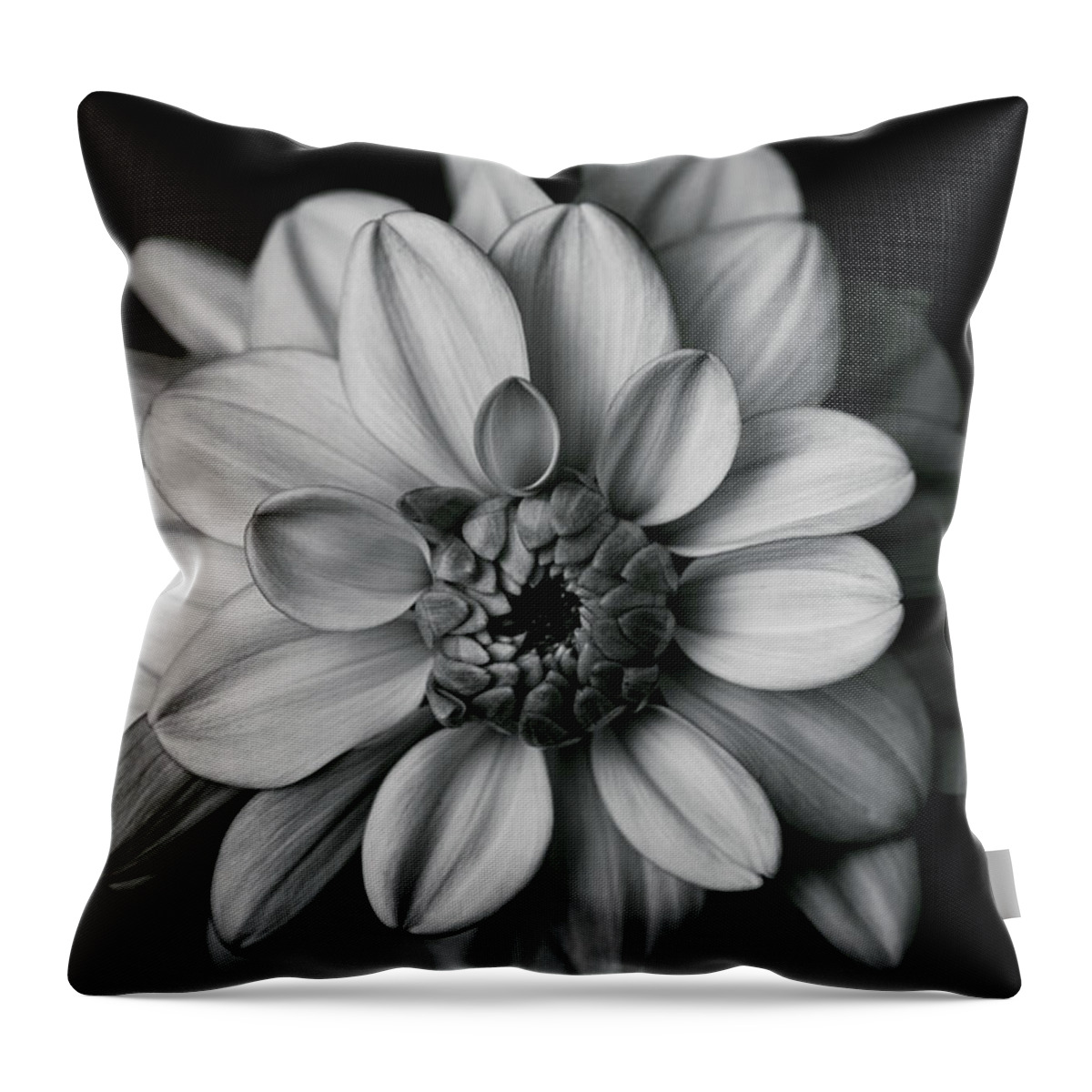 Dahlia Throw Pillow featuring the photograph Dahlia Dream - in black and white by Ada Weyland