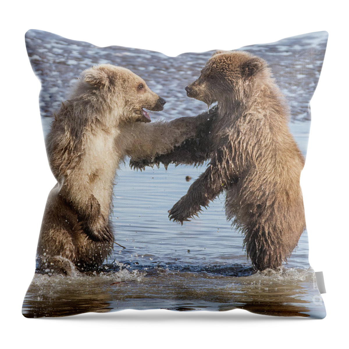 Bear Throw Pillow featuring the photograph Dancing Bears by Chris Scroggins
