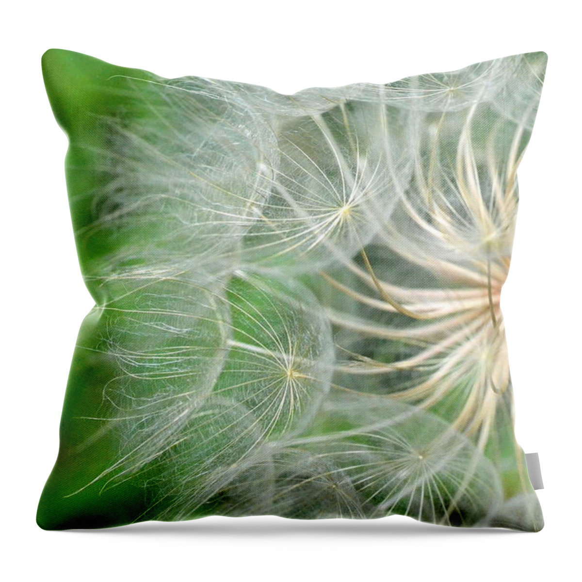 Nature Throw Pillow featuring the photograph Dandelion 5 by Amy Fose