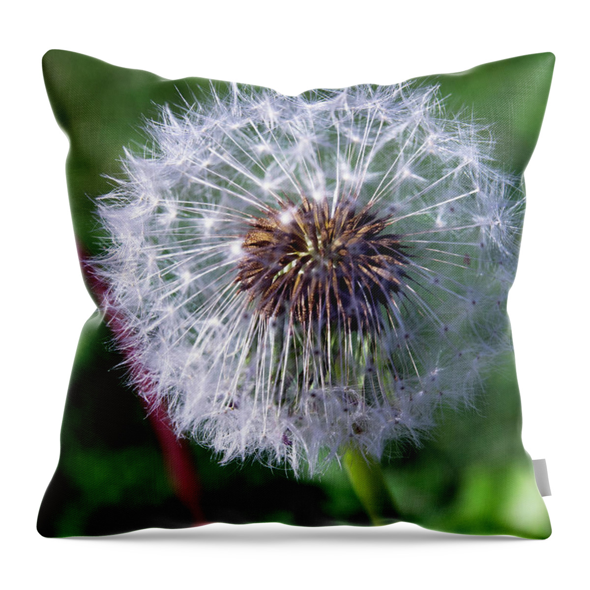 Beautiful Throw Pillow featuring the photograph Dandelion On Green by David Desautel
