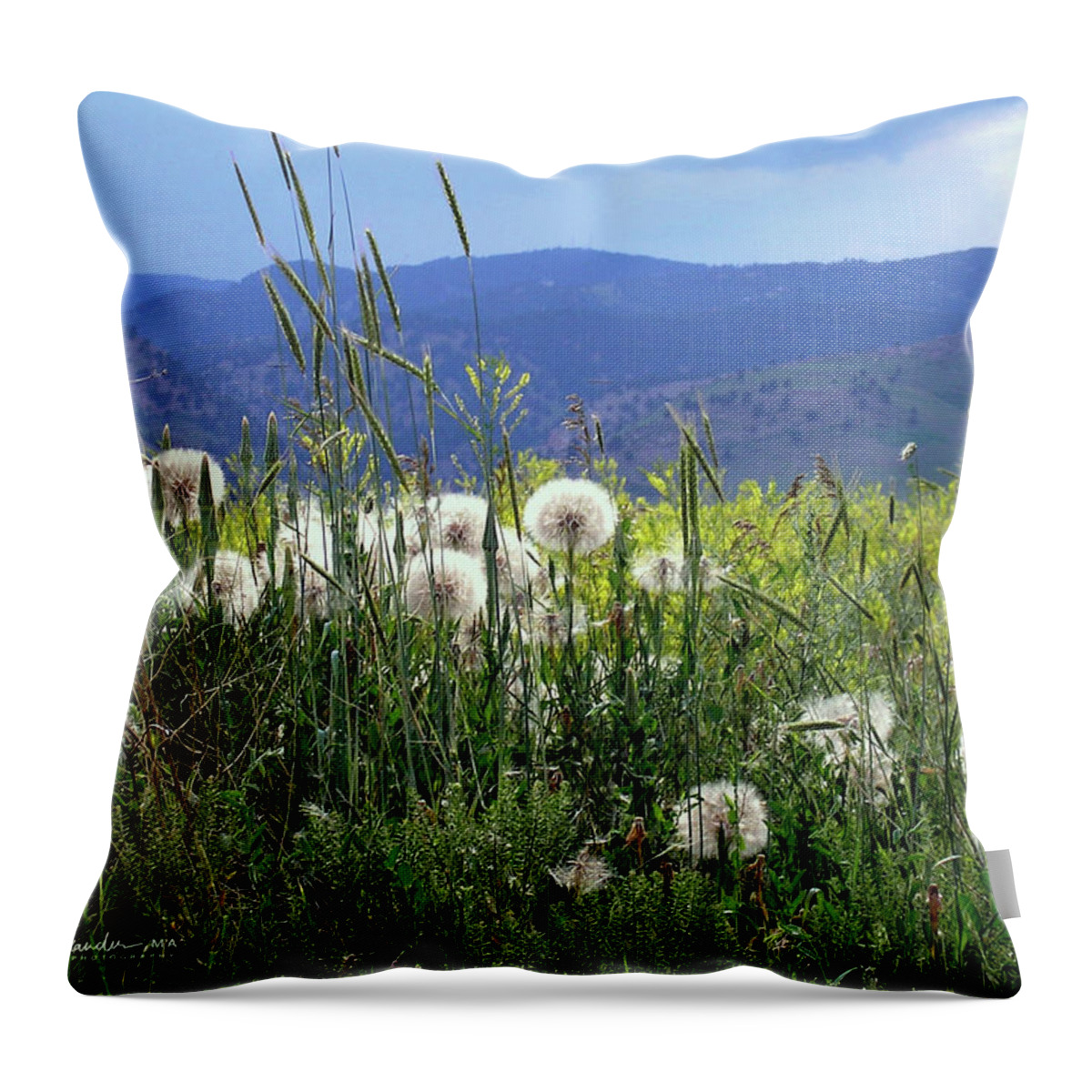 Dandelion Throw Pillow featuring the photograph Dandelions and Mountains by Kathryn Alexander MA