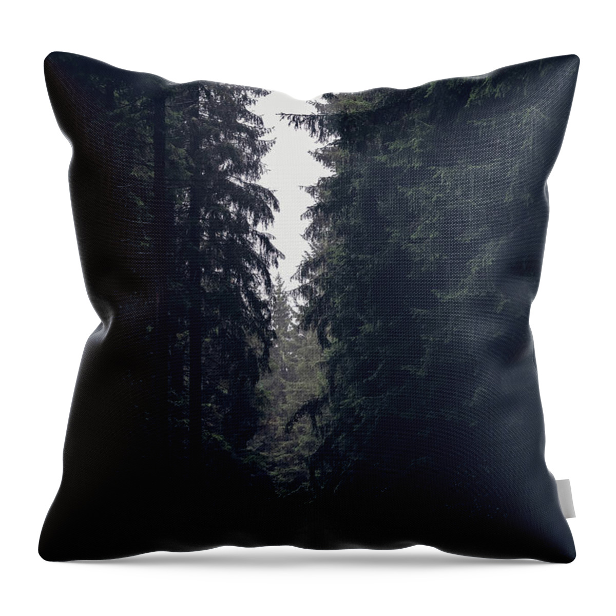 Forest Throw Pillow featuring the photograph Dark atmosphere in forest. Forgotten road in rainy day by Vaclav Sonnek