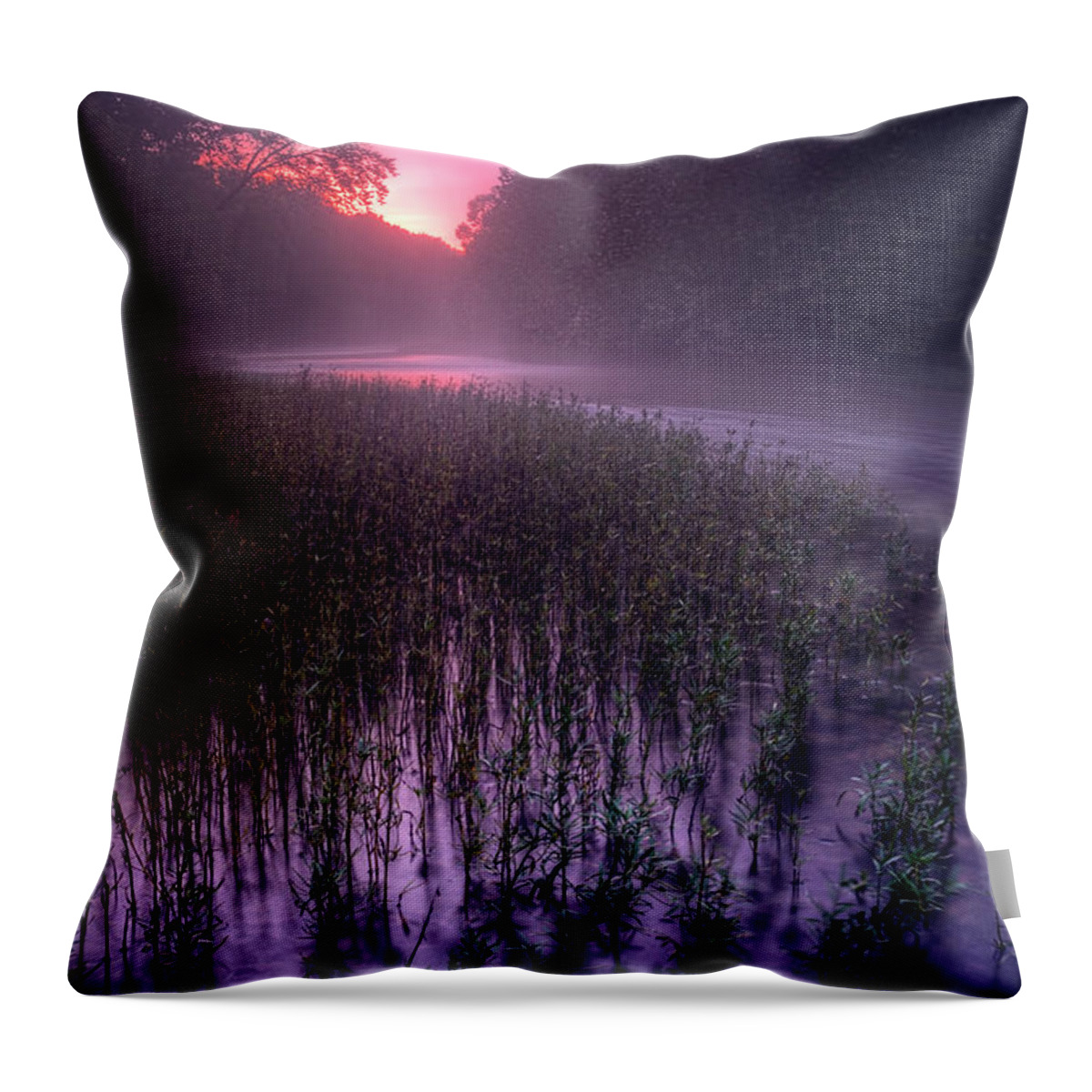 2012 Throw Pillow featuring the photograph Dawn Mist by Robert Charity