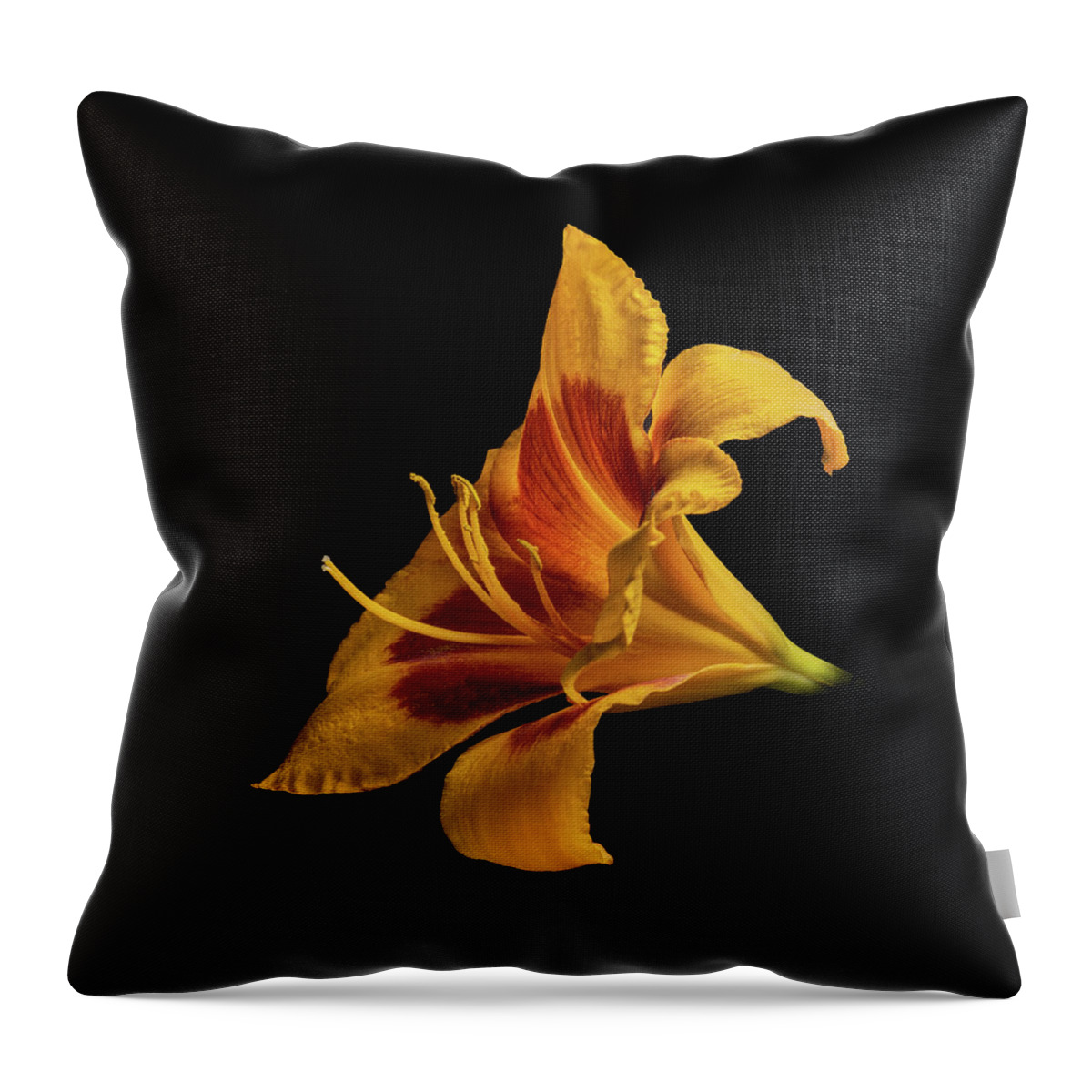 Hemerocallis Fulva Throw Pillow featuring the photograph Daylily at Night by Kevin Suttlehan