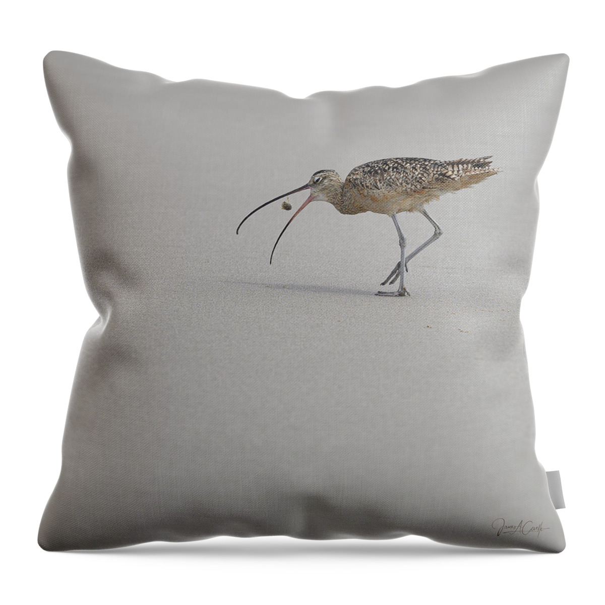 Animals Throw Pillow featuring the photograph Death of a Sand Crab by James Covello