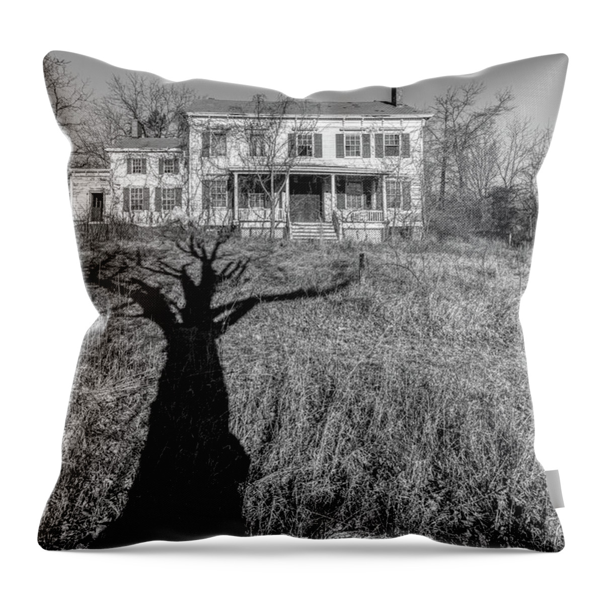 Voorhees Farm Throw Pillow featuring the photograph Death Tree by David Letts