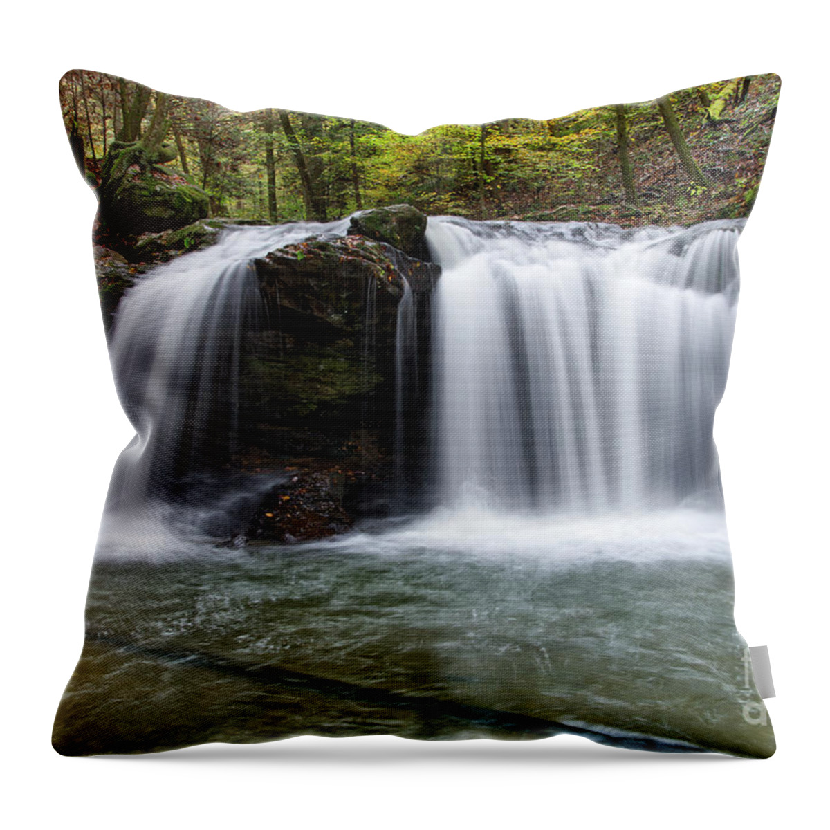 Debord Falls Throw Pillow featuring the photograph Debord Falls 16 by Phil Perkins