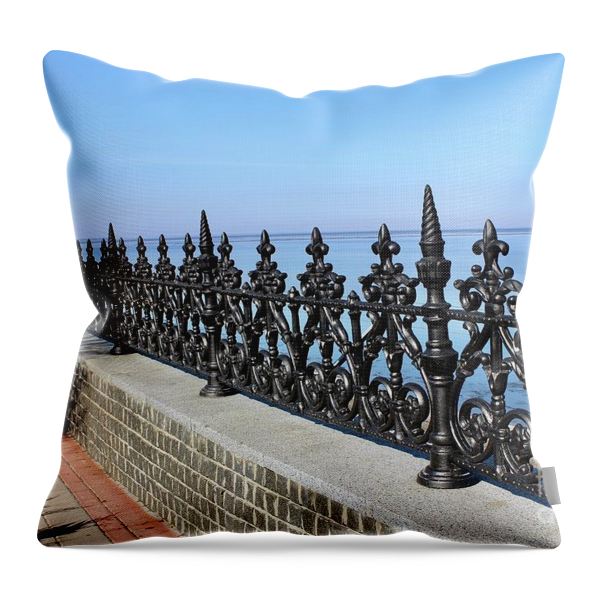  Throw Pillow featuring the photograph Decorative fence by Annamaria Frost