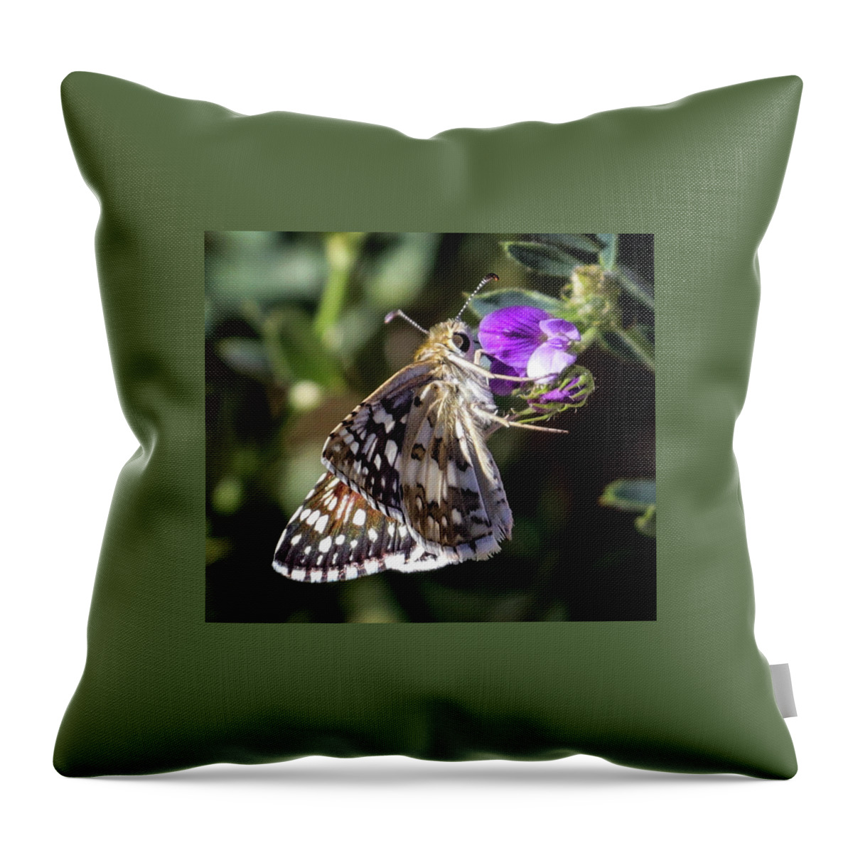 Butterfly Throw Pillow featuring the photograph Delicate Beauty by Laura Putman