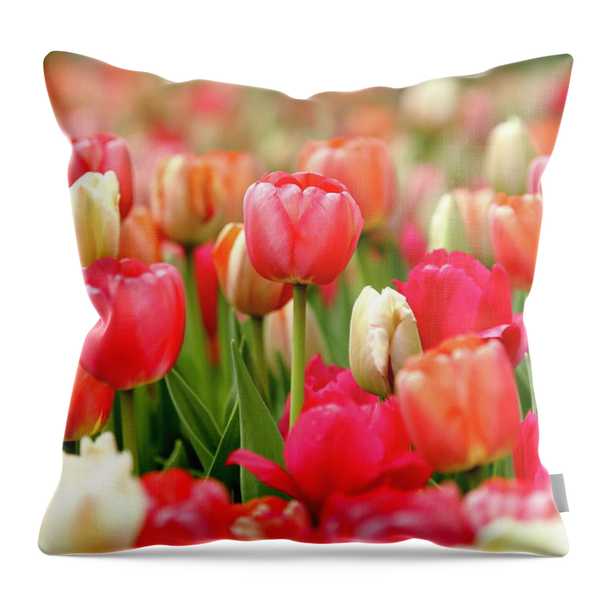 Nature Throw Pillow featuring the photograph Delicate by Lens Art Photography By Larry Trager