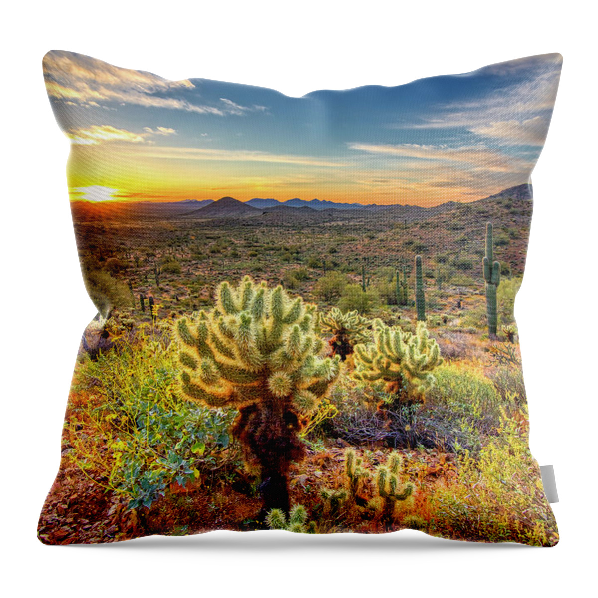 Sunrise Throw Pillow featuring the photograph Desert Sunrise by Bob Falcone