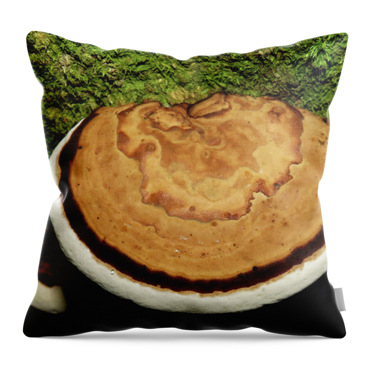 Designer throw pillows top
