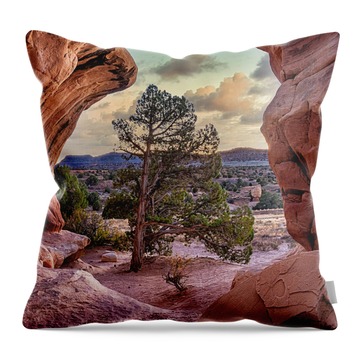 2020 Utah Trip Throw Pillow featuring the photograph Devil's Garden Arch by Gary Johnson