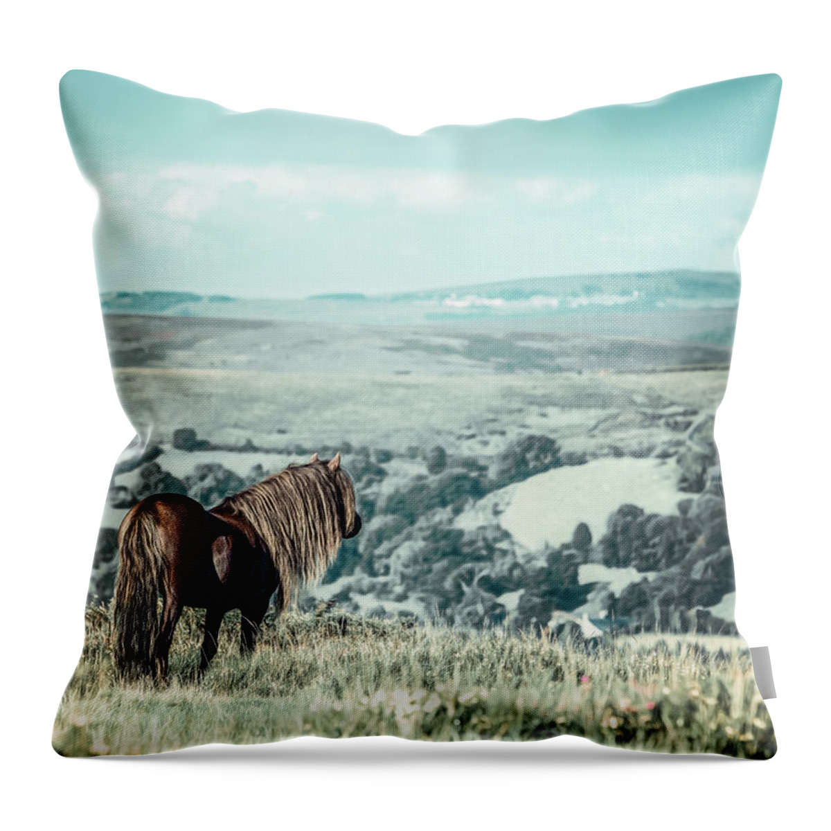 Photographs Throw Pillow featuring the photograph Devin - Horse Art by Lisa Saint