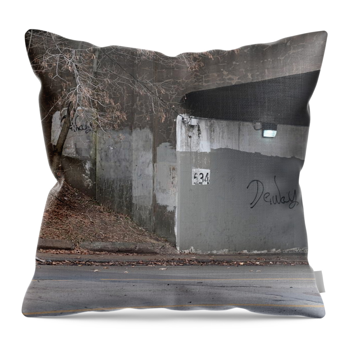 Urban Throw Pillow featuring the photograph Dewey by Kreddible Trout