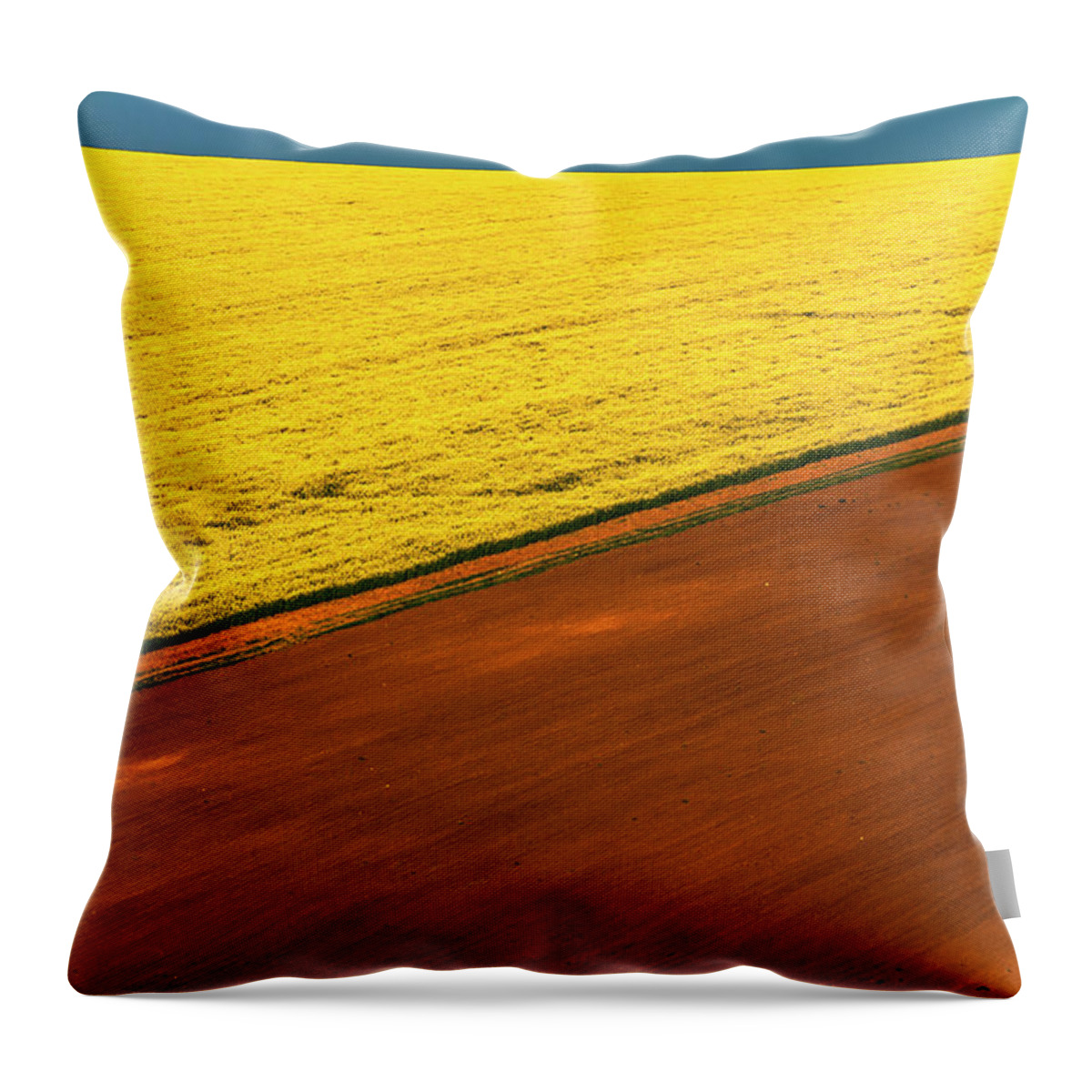 Bulgaria Throw Pillow featuring the photograph Diagonals by Evgeni Dinev