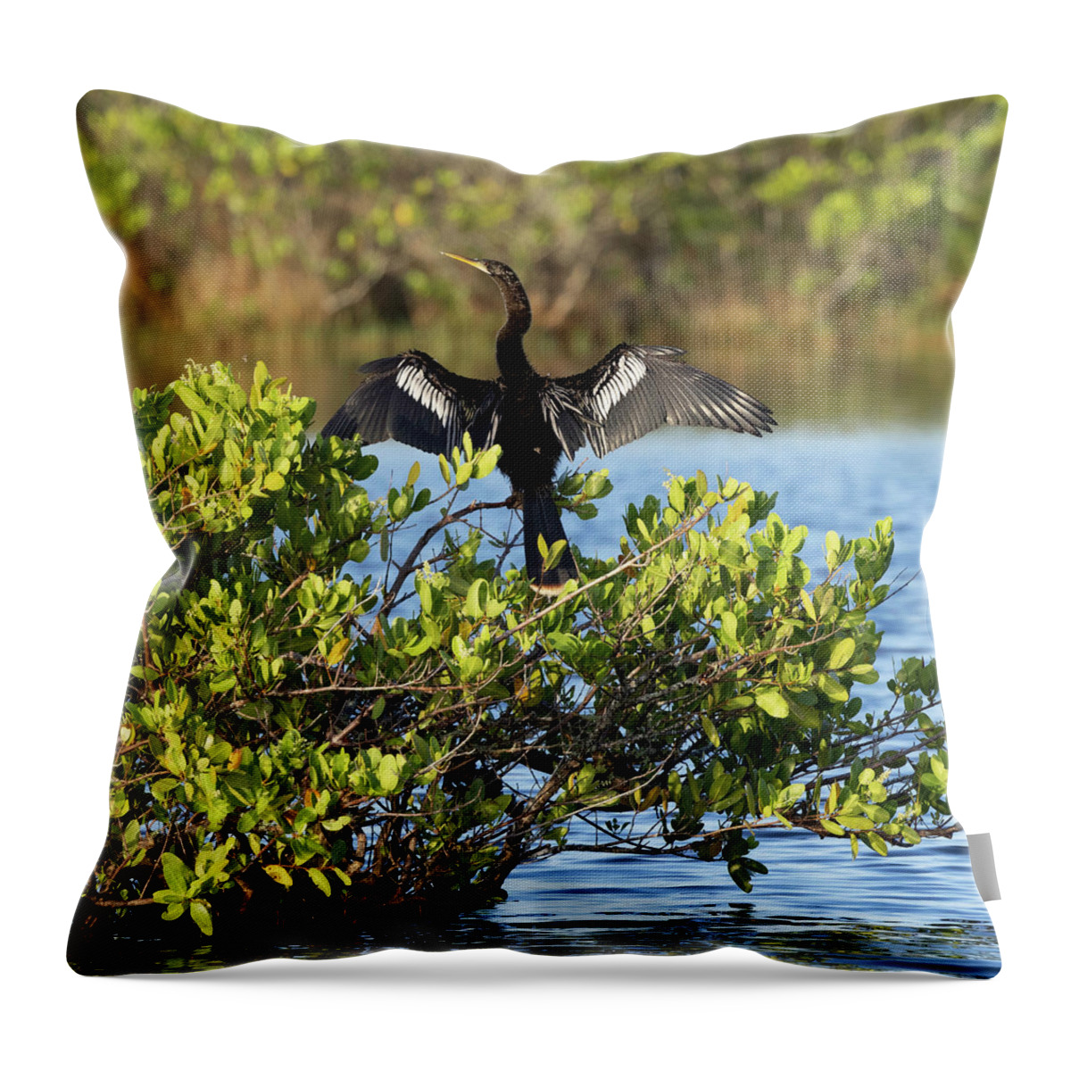 R5-26151 Throw Pillow featuring the photograph Directing Traffic by Gordon Elwell