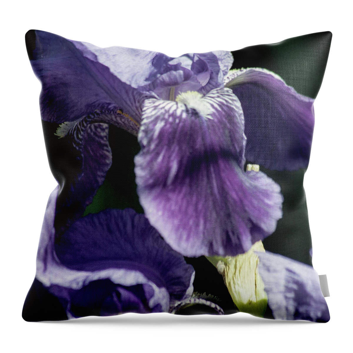 Arizona Throw Pillow featuring the photograph Displaying My Beard by Kathy McClure