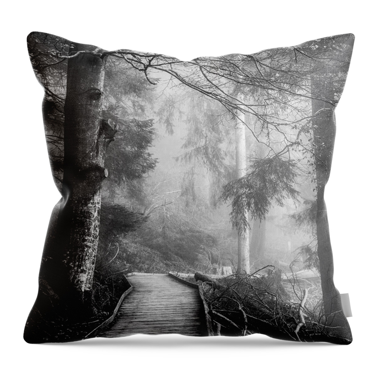Black And White Throw Pillow featuring the photograph Divine Forest by Philippe Sainte-Laudy