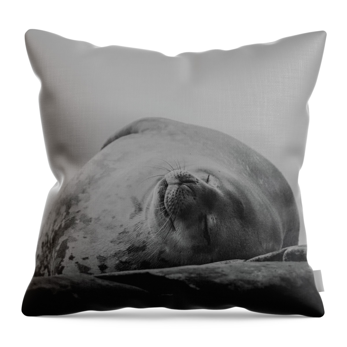 03feb20 Throw Pillow featuring the photograph Do Not Awaken - Makes Me Crabby BW by Jeff at JSJ Photography