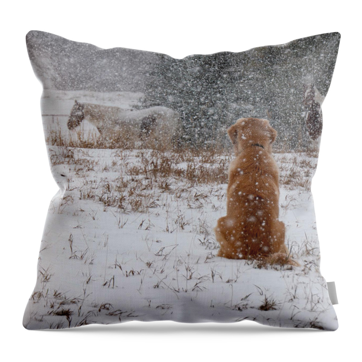 Snow Throw Pillow featuring the photograph Dog And Horses In The Snow by Karen Rispin