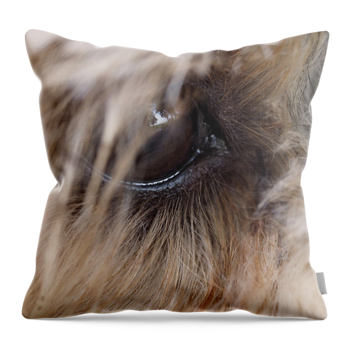 Dog Throw Pillow featuring the painting Dog's eye by Sv Bell