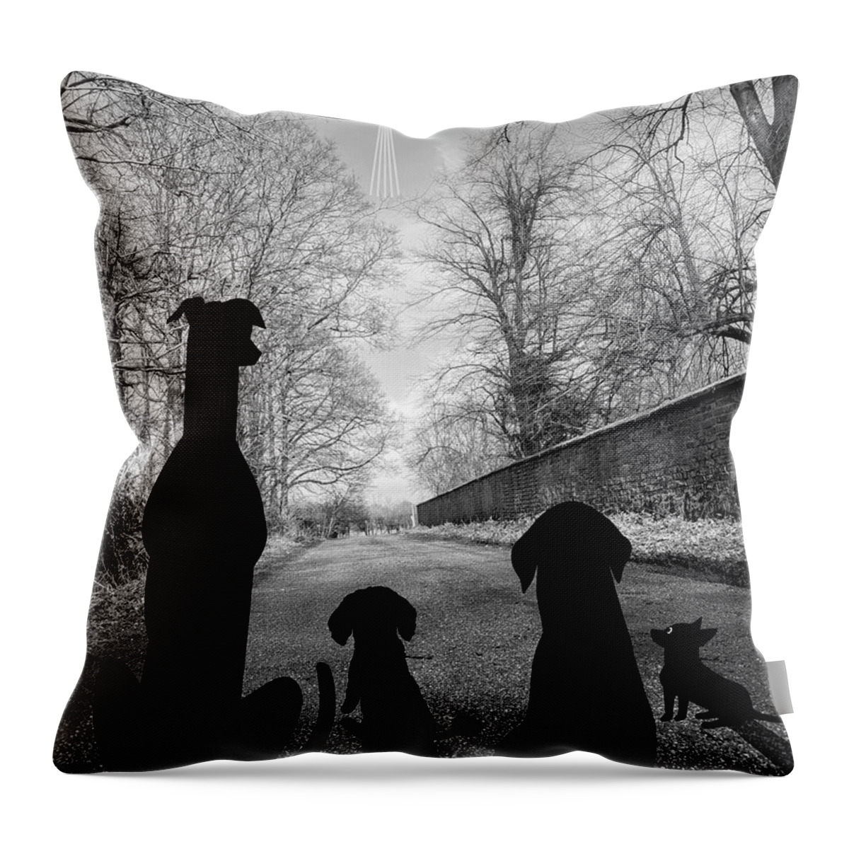 Dogs Throw Pillow featuring the digital art Dogs Spy Alien in Flying Saucer by Donna Mibus