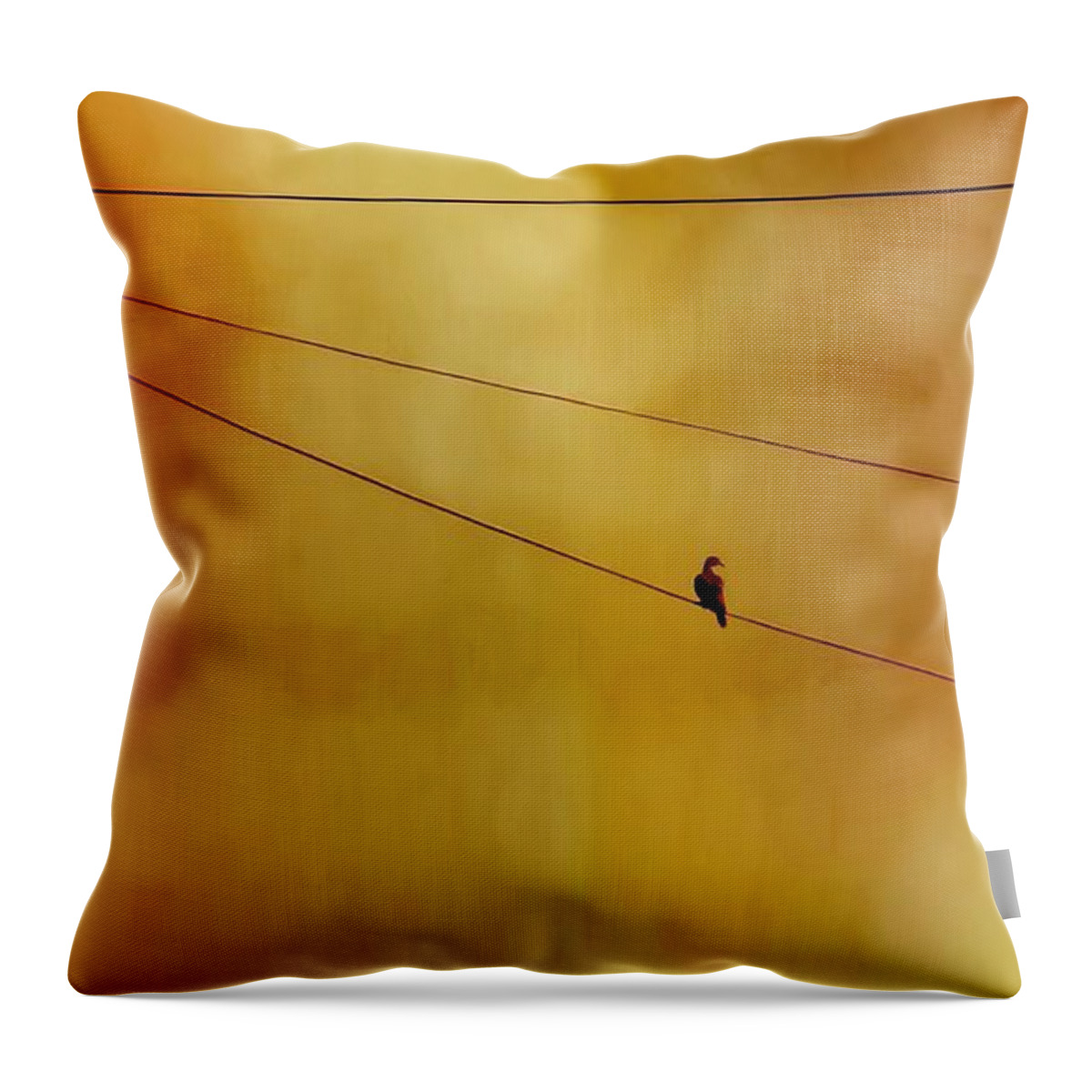 Perching Throw Pillow featuring the photograph Dove on a Wire - Gold by Judy Kennedy