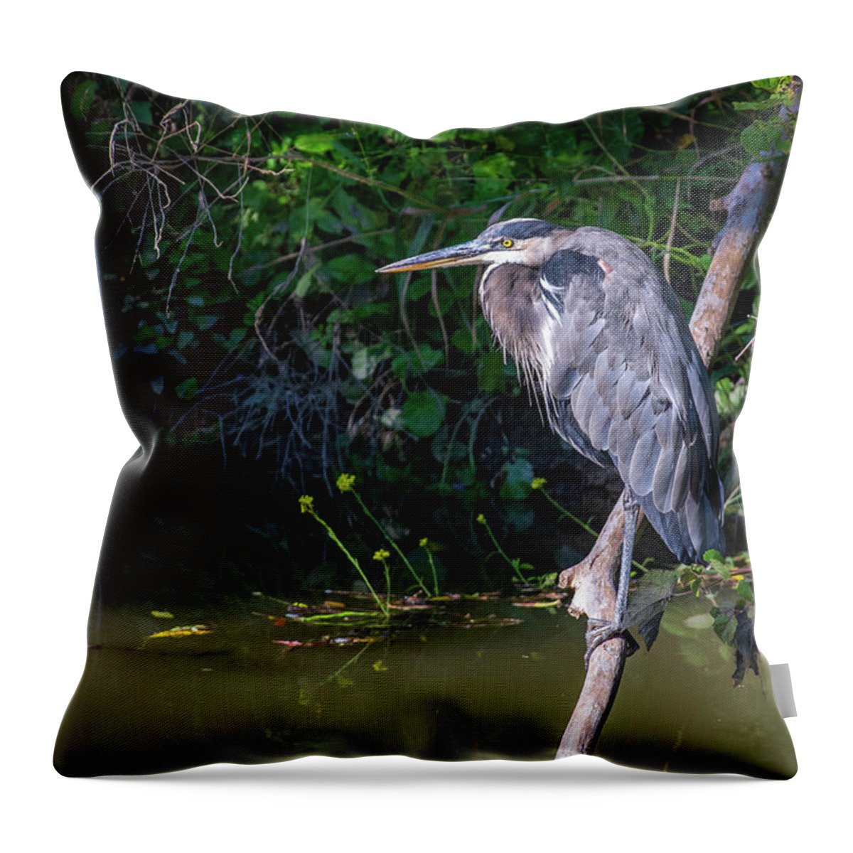 River Throw Pillow featuring the photograph Down by the river by Stephen Sloan