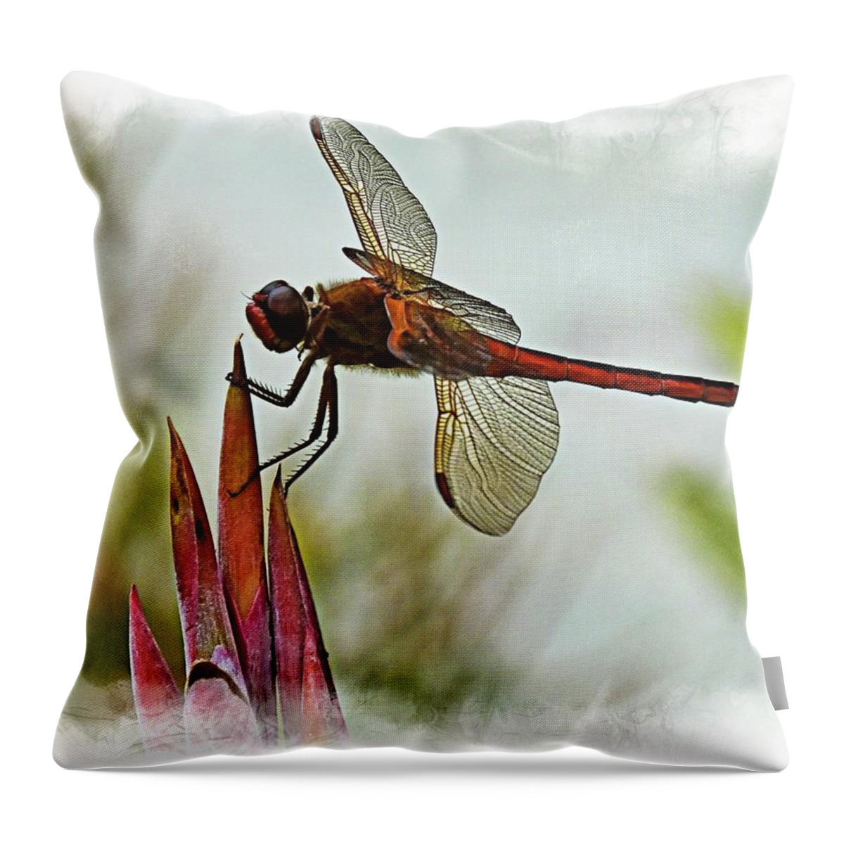 Dragonfly Throw Pillow featuring the photograph Dragonfly with vignette by Bill Barber