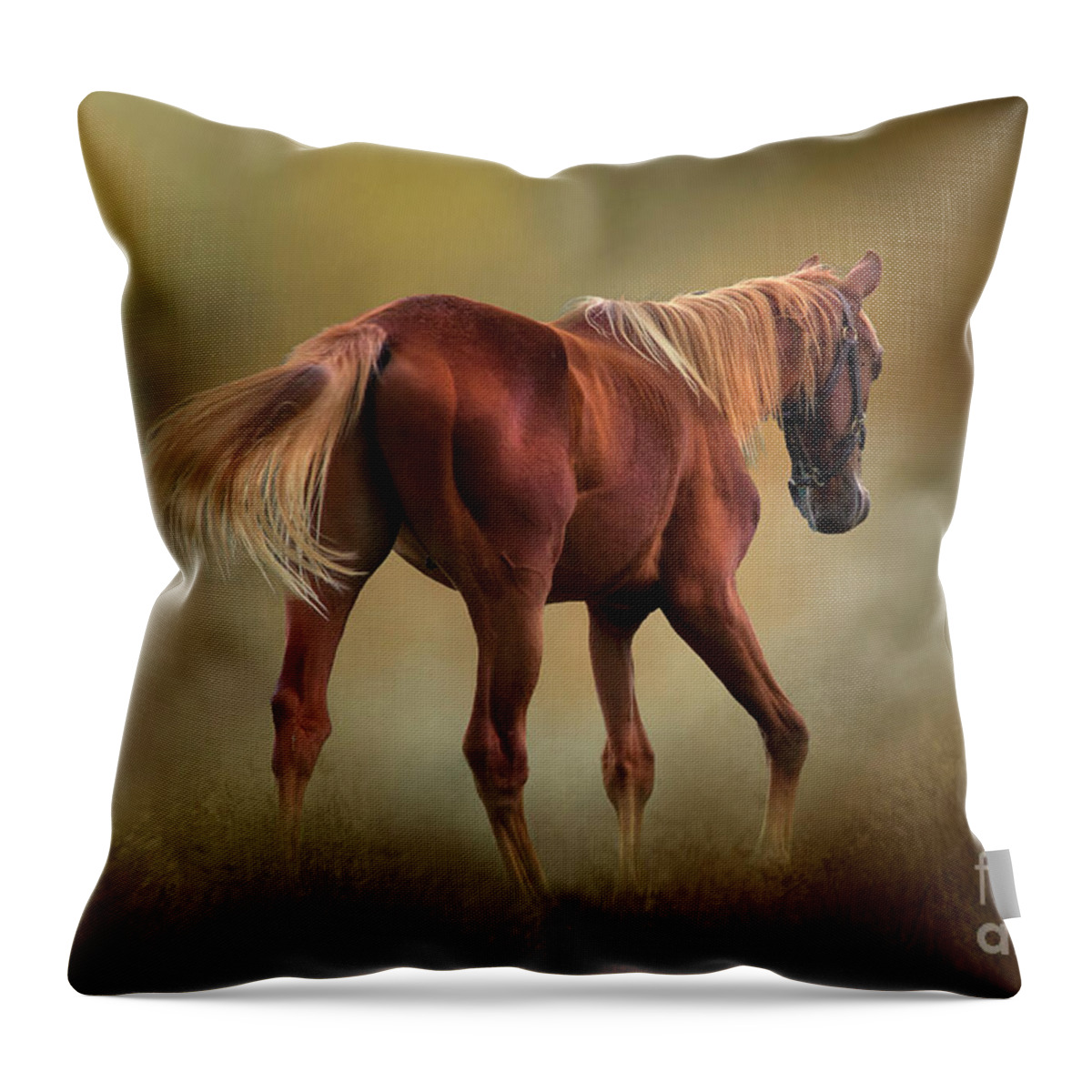 Horse Throw Pillow featuring the photograph Dream Horse by Shelia Hunt
